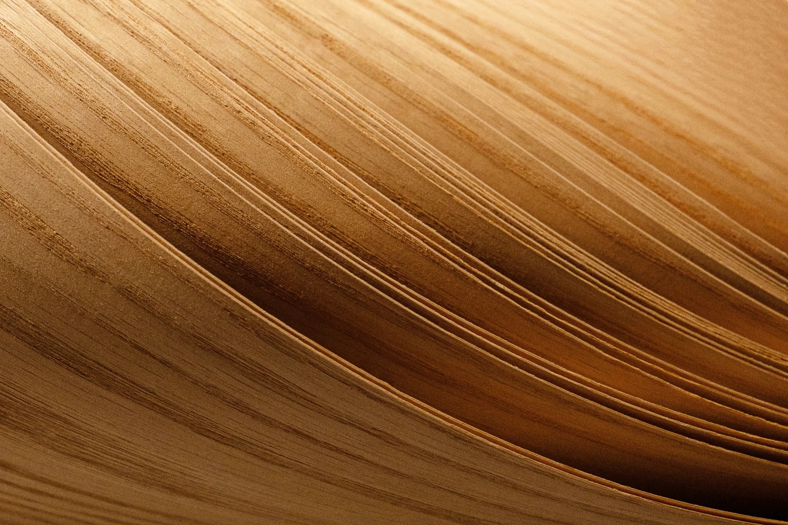 Veneer sheet with expressive golden grain in close-up