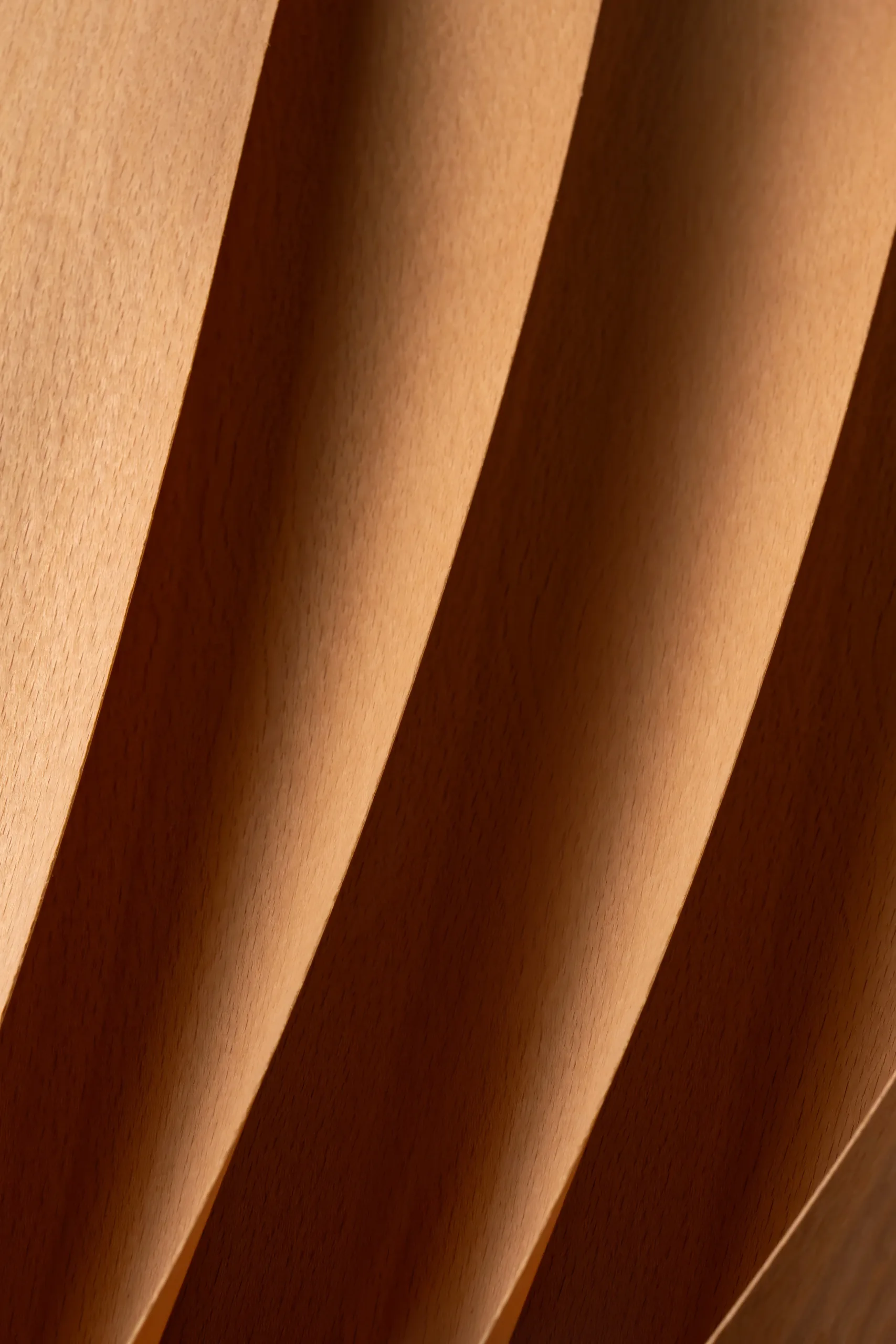 Curved warm-toned veneer sheets in close-up